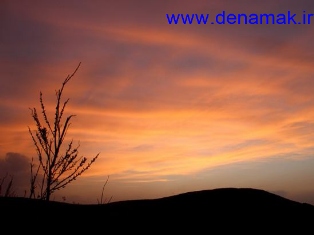 برپایی دعای کمیل ودعای ندبه